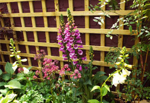 Garden Design in Whitstable