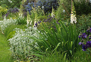 Planting Whitstable