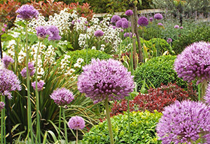 Planting Whitstable